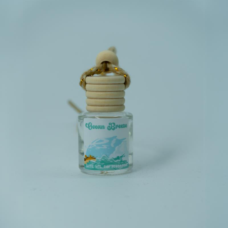 Car Air Freshener Diffusers - Last 60+ Days